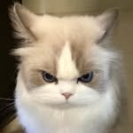 ohmyo___ 인스타그램 프로필 사진