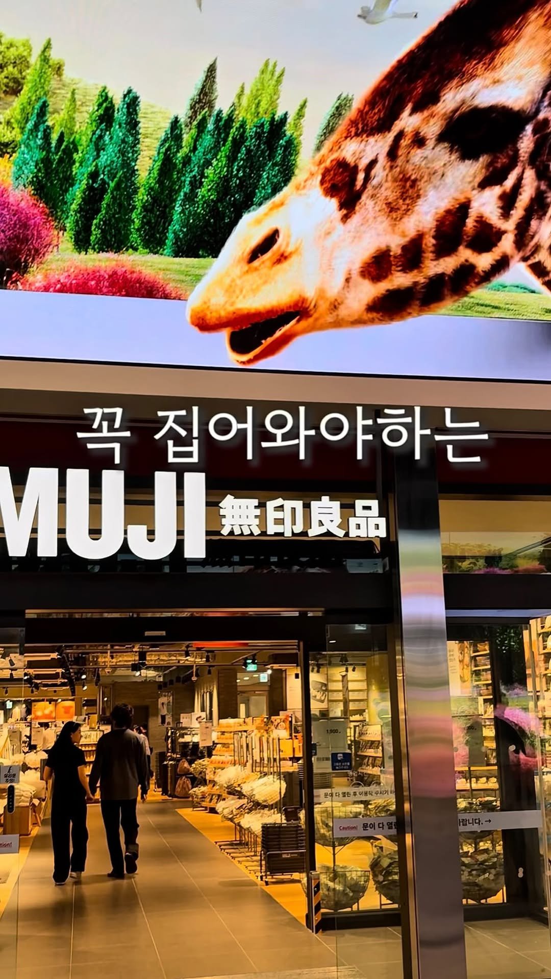 ohoo_house 게시물 이미지: 바람이 갑자기 스산해진 월요일 
주말에 단풍놀이 실컷하고 
집안 살림 좀...