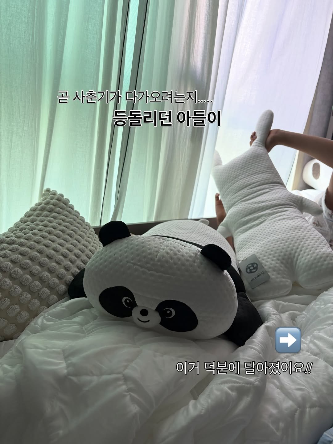ohoo_house 게시물 이미지: 다가올 사춘기 갱년기가 무섭지 않은 이유는요 ㅎㅎㅎ
#공구중

시원 포근함에 아들과...