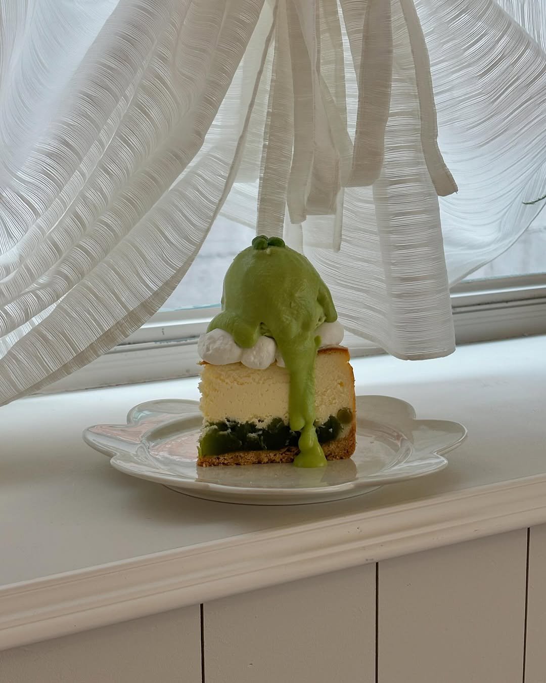 Photo by 리브인오후 on June 20, 2025. May be an image of chiffon cake and text.