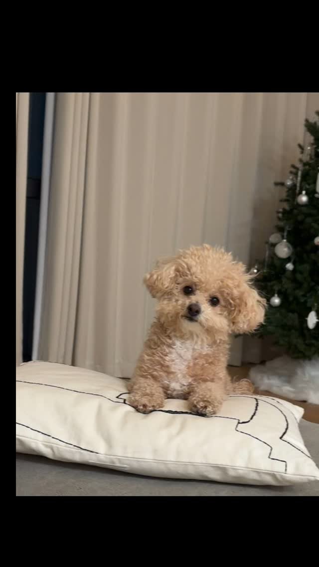 ohvely22 게시물 이미지: 😉