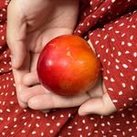 zagne.zip 프로필 사진