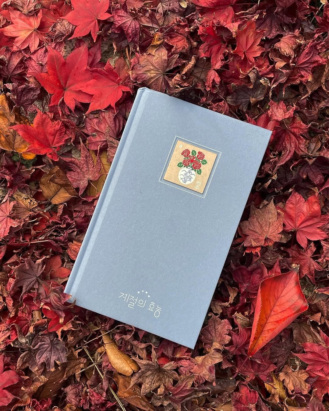 Photo by 오이뮤 / OIMU® on November 16, 2025. May be an image of diary, book and text that says 'ጥ 계절의효능 oó 계적의'.