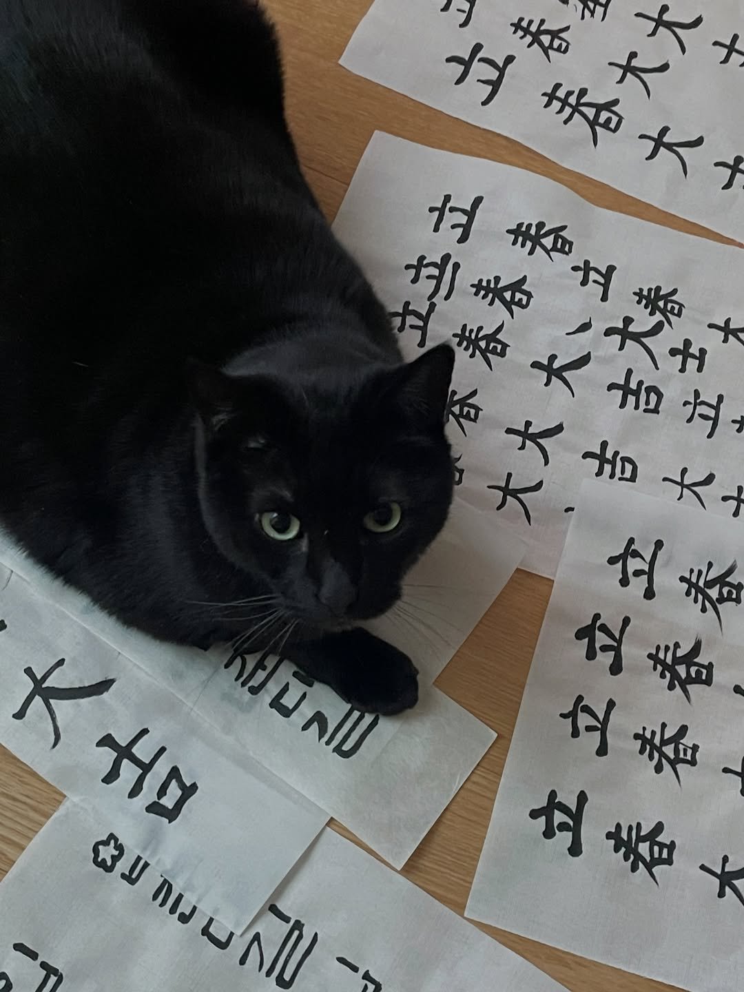 Photo by 오이뮤 / OIMU® on January 26, 2026. May be an image of ‎crossword puzzle and ‎text that says '‎١ ታ 春 春 x ተኝ 大ナ 付 美 創寿 ガ ガ X HD ダ ۲ HD 大 有 春 付 春 立巻 ダ 巻 立巻 Ho 大土ロ נומשנח にラこしフこ נוח サ山 ላ‎'‎‎.