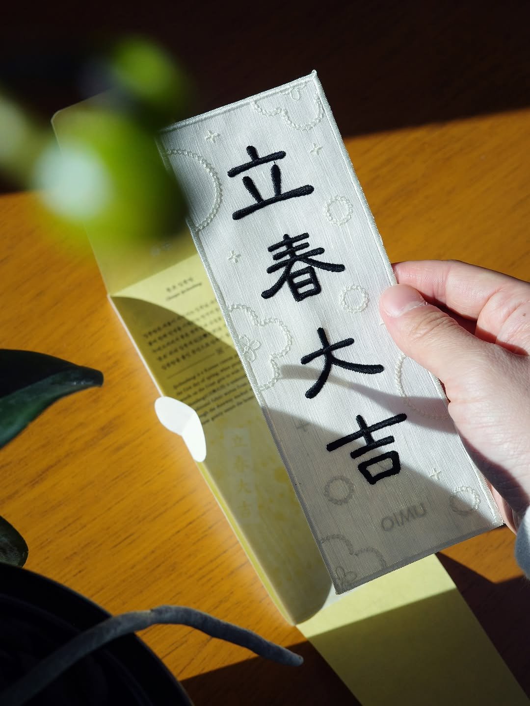 Photo shared by 오이뮤 / OIMU® on February 03, 2026 tagging @oimu_. May be an image of wind chime and text.