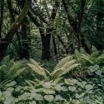 kindofsummer_official 프로필 사진