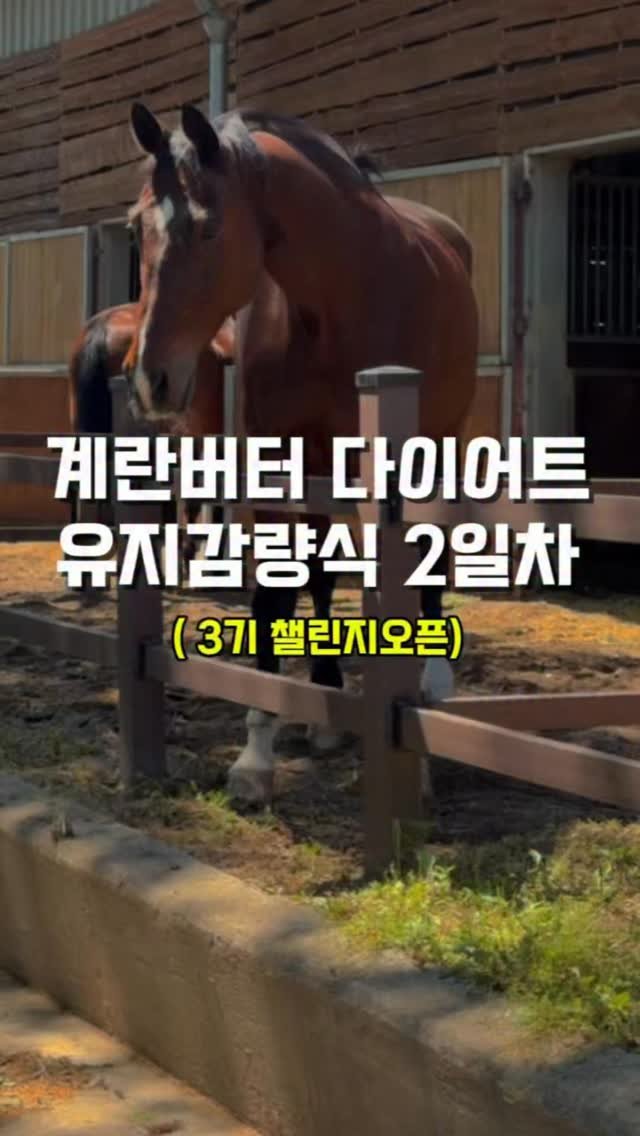ojuuup 게시물 이미지: 📆 다이어트111일차 / 유지•감량식2일차
⠀
🍽️ 아침 am09:10
클렌즈주스...