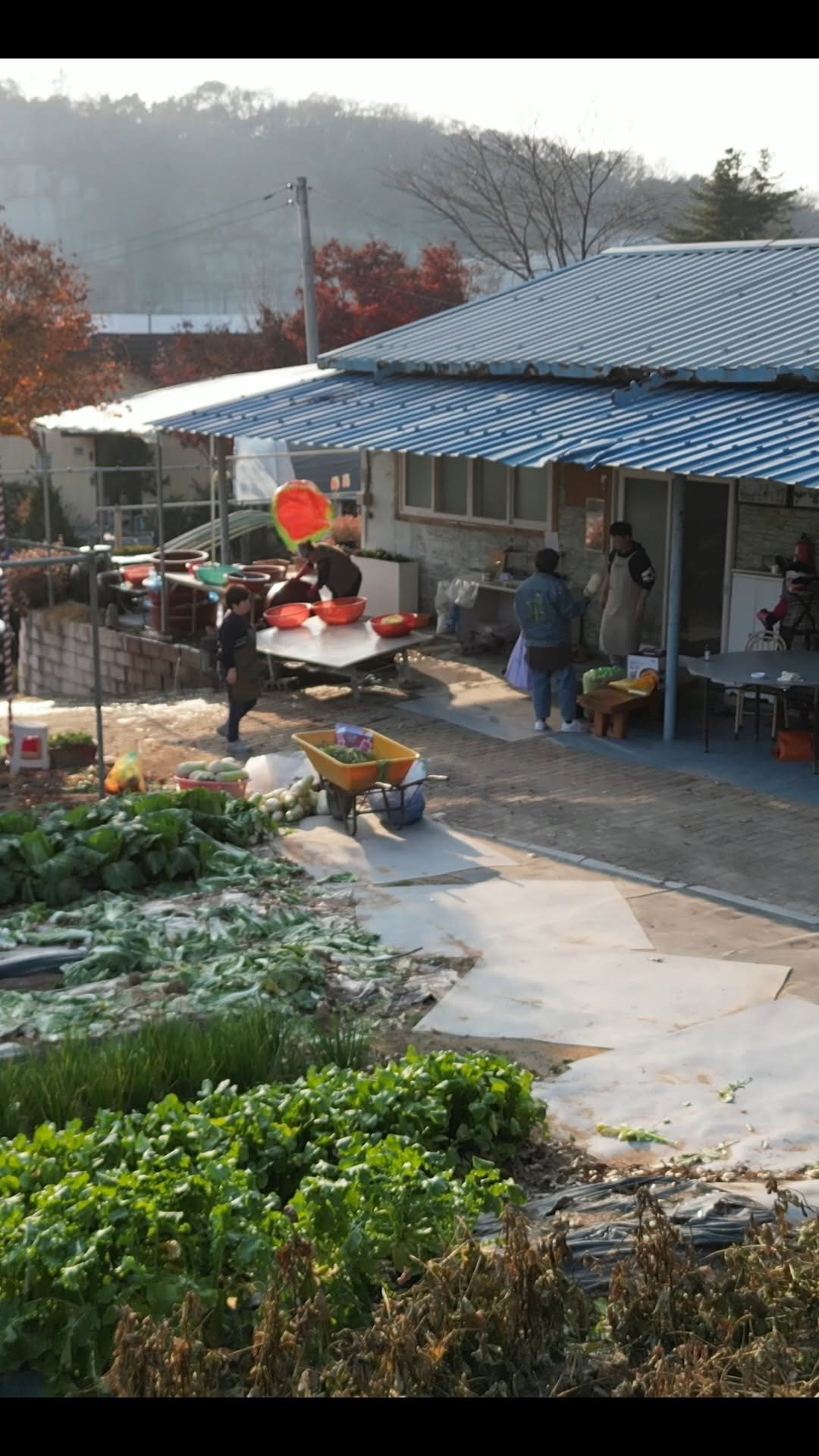 okdongja1004 게시물 이미지: 내사람들 해피한 김장한주 되셔요 😊
.