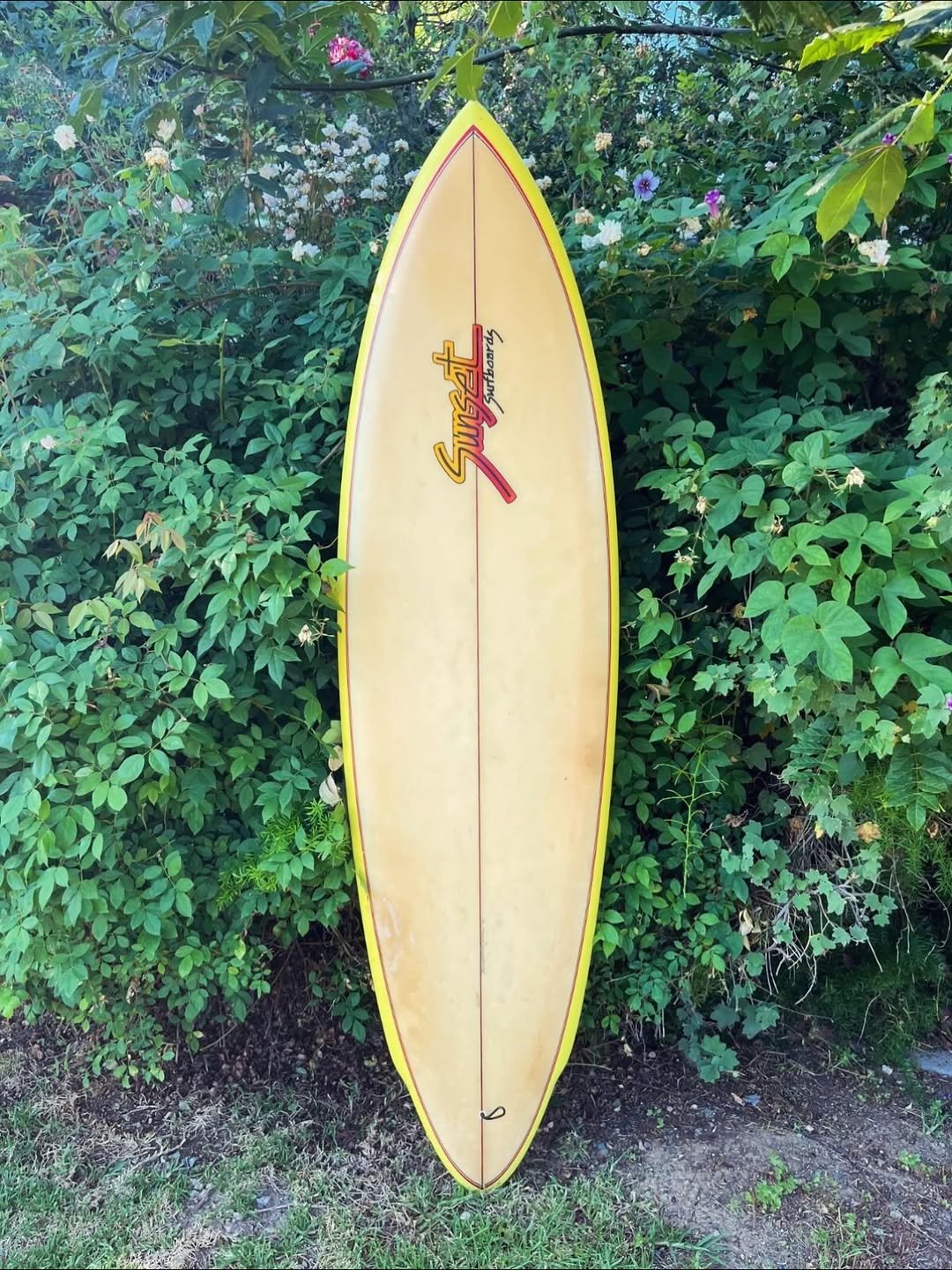 oldschool80ssurfmags 게시물 이미지: Sometimes there are diamonds hiding in the...