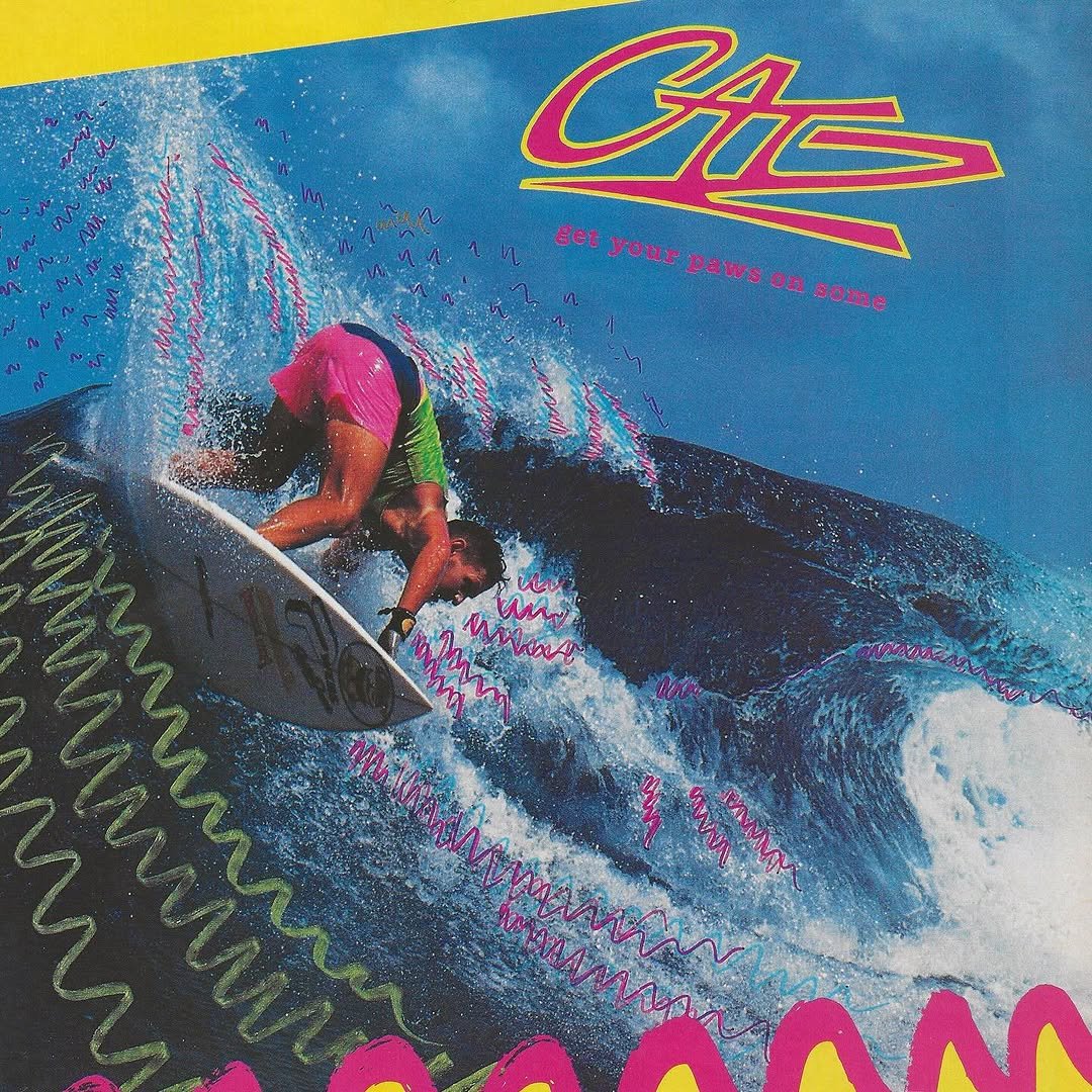 Photo by Aloha in Cainta Rizal Phillipines. May be an image of surfboard, magazine, wetsuit, poster, water and text that says 'AE get your yourpawsonsom pawsor some Αл0'.