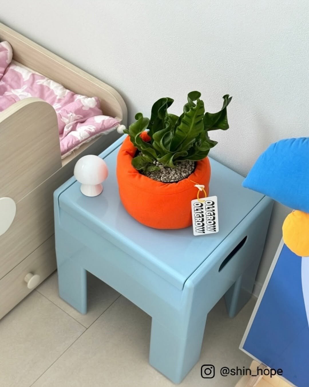 Photo by 올리그로우 (Oligrow) on August 11, 2025. May be an image of house plant, beanbag chair, flower pot and text.