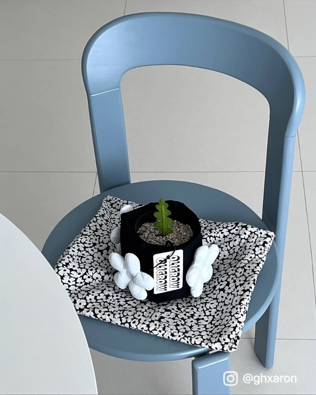 Photo by 올리그로우 (Oligrow) on August 15, 2025. May be an image of table, house plant, chair, armchair, flower pot and text.