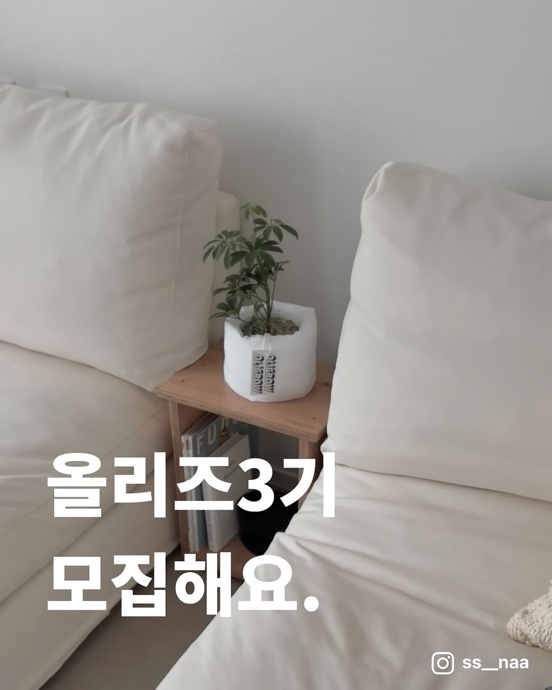 Photo by 올리그로우 (Oligrow) on October 18, 2025. May be an image of house plant, baby's-breath and ivy.