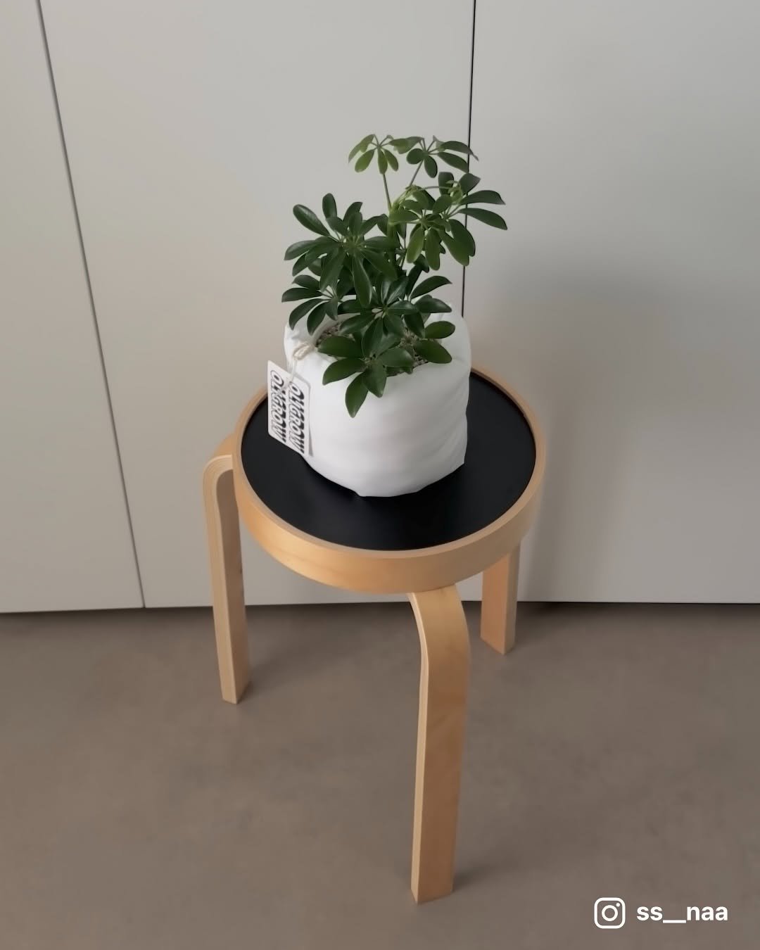 Photo by 올리그로우 (Oligrow) on September 16, 2025.