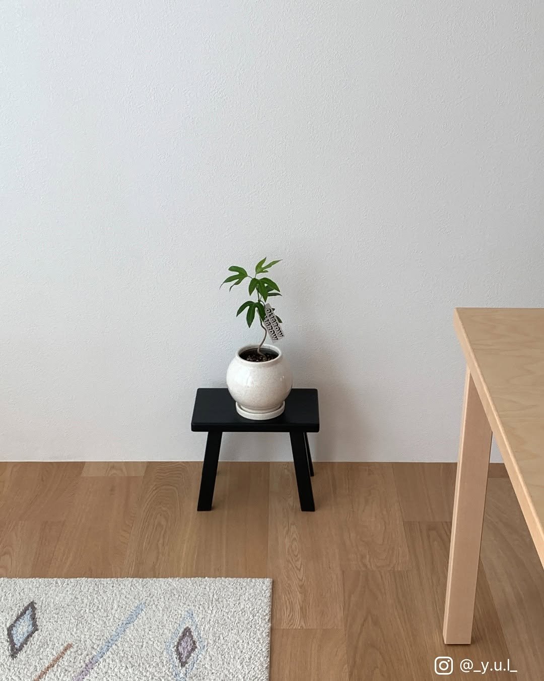 Photo by 올리그로우 (Oligrow) on October 03, 2025.