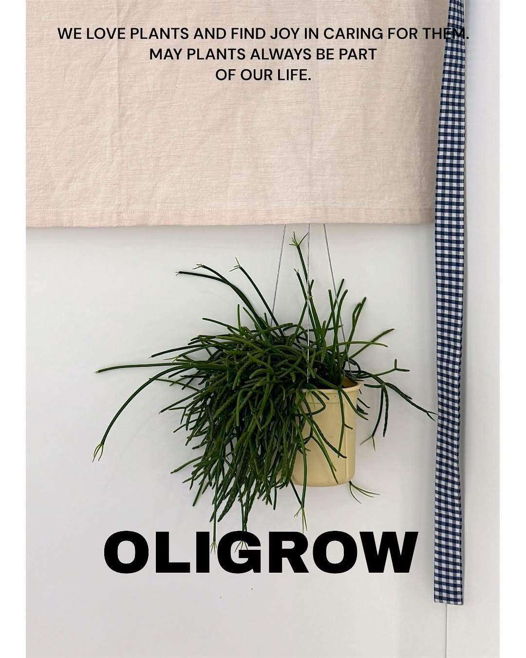 Photo by 올리그로우 (Oligrow) on January 11, 2026. May be an image of ‎house plant, mistletoe cactus and ‎text that says '‎WELOVE WE LOVE PLANTS AND FIND JOY IN CARING FOR THE THEM. MAY PLANTS ALWAYS BE PART OF OUR LIFE. للة OLIGROW‎'‎‎.