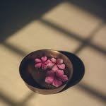 theklconservatory 프로필 사진