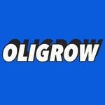 oli_grow 인스타그램 프로필 사진