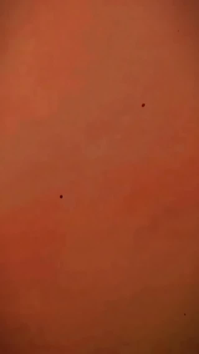 oli_stunt_01 게시물 이미지: ⚡️✨

#bikelife #viral #reelsvideo #trendingreels
