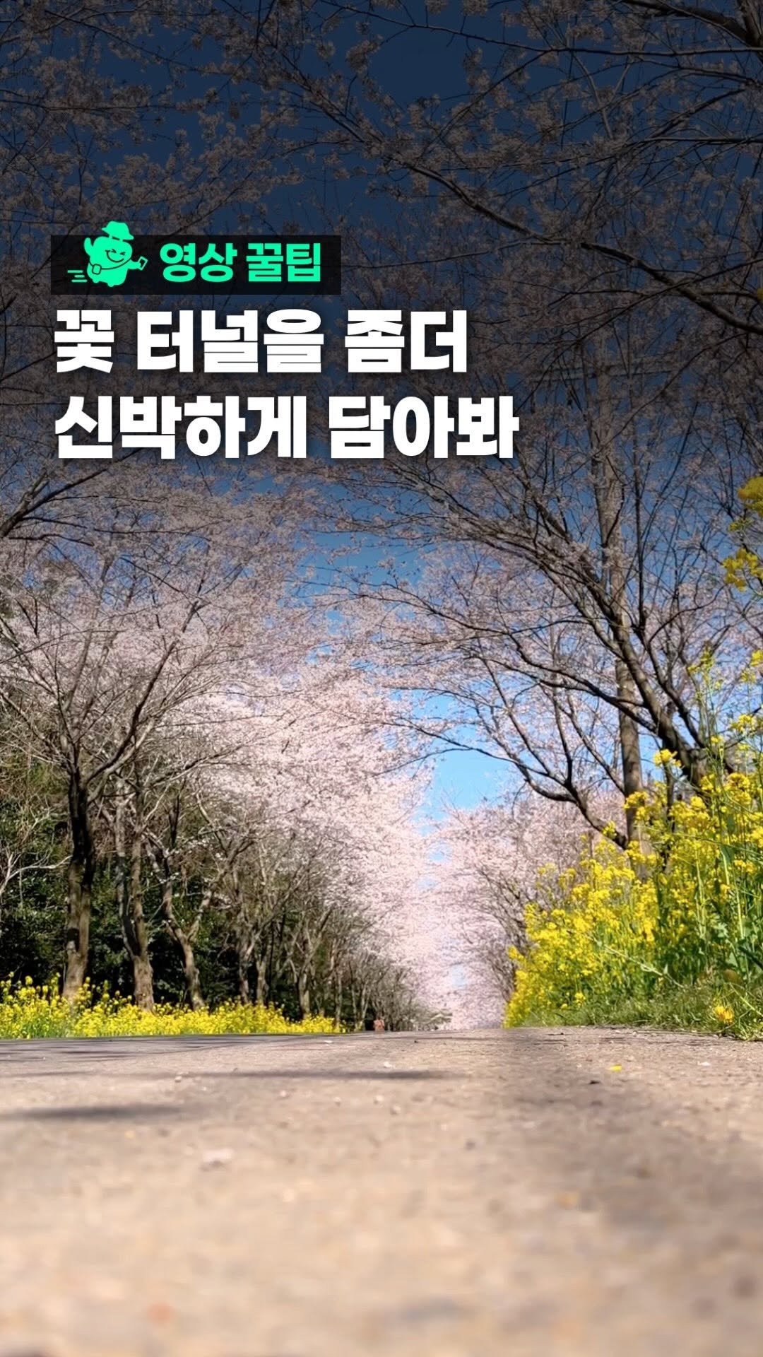 oliver_travel_ 게시물 이미지: (장소본문) 꽃길 이렇게 찍으면 영화 됩니다 🌸

핸드폰을 바닥에 살짝 대고
천천히...