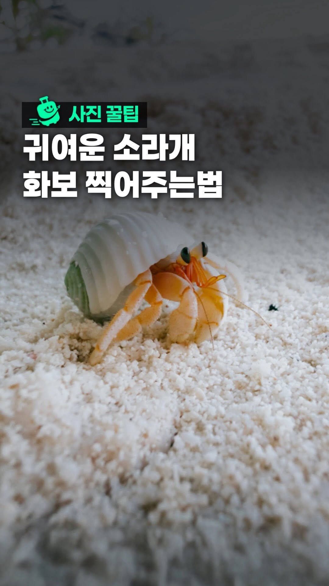 oliver_travel_ 게시물 이미지: 프로필링크 : 스마트폰 하나로 끝내는 인생샷 비법😁

✔️프로필링크 : 
-...