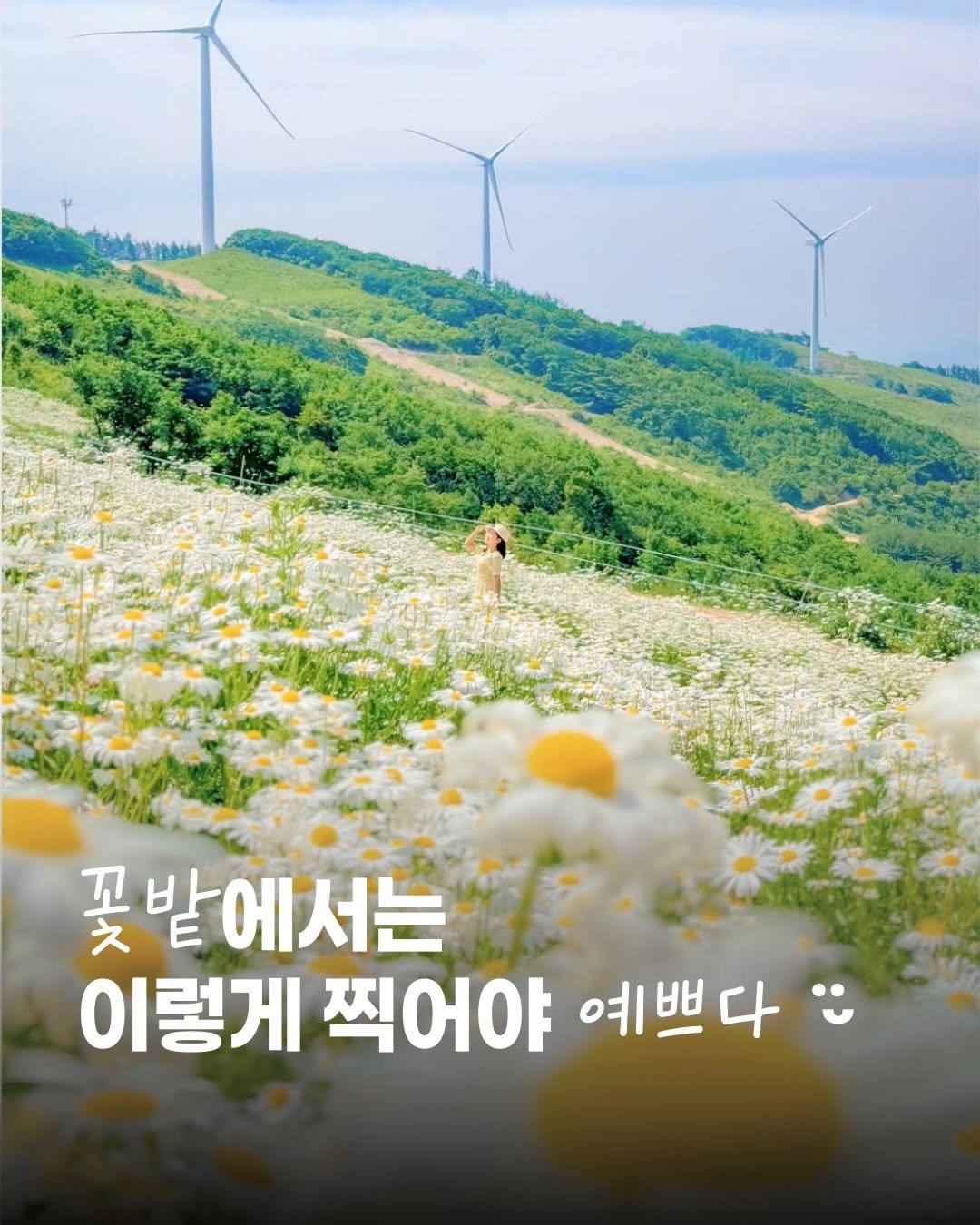 Photo by 여행 크리에이터 | 올리버여행기 on April 21, 2026. May be an image of outdoors and text that says '꽃 꽃밭에서는 밭 이렇게 찍어야 예쁘다 예쁘'.