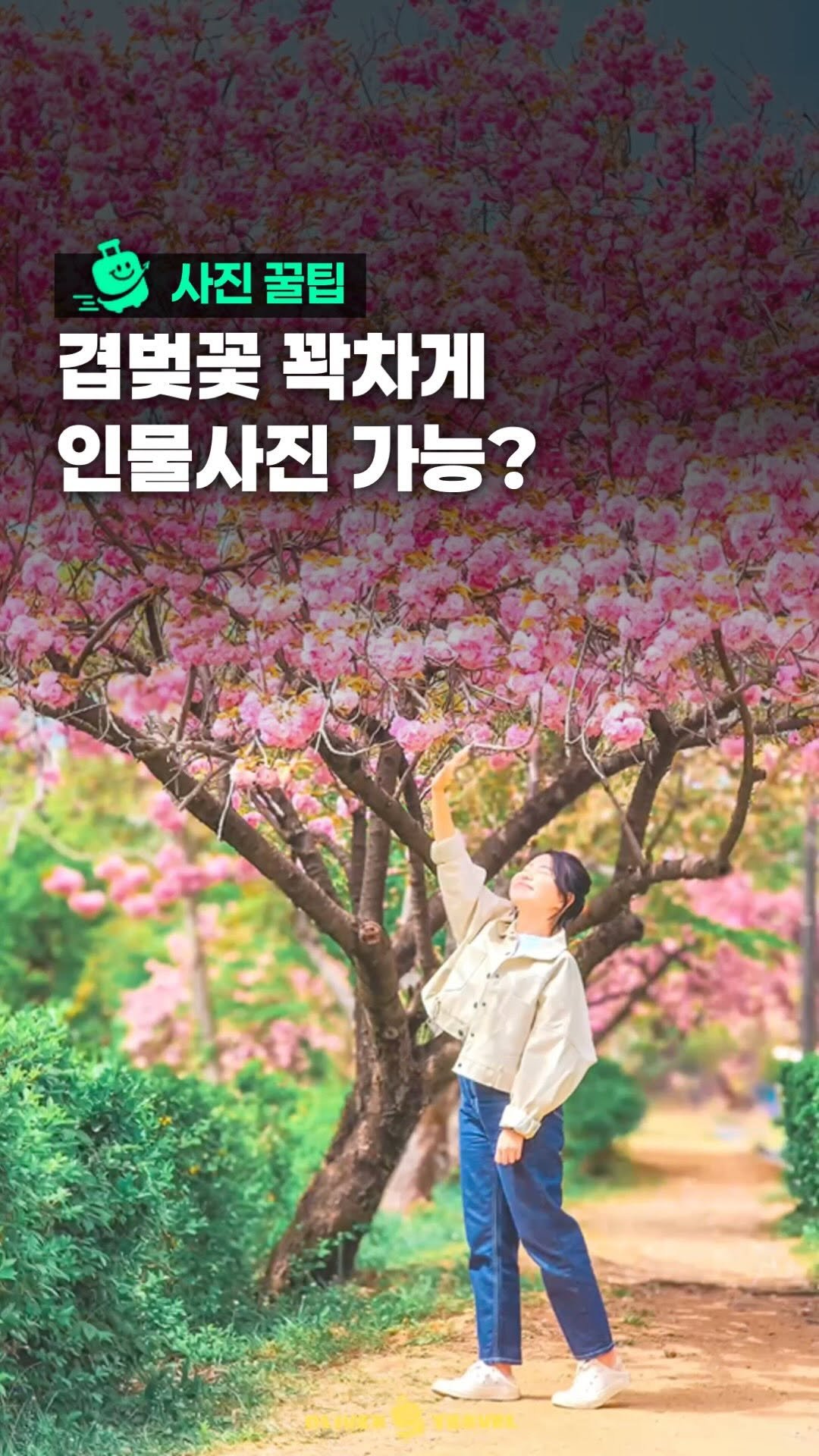 oliver_travel_ 게시물 이미지: (장소본문) 겹벚꽃 데이트 가기 전 알아두면 딱 좋을 사진꿀팁 🌸 

벚꽃가고...