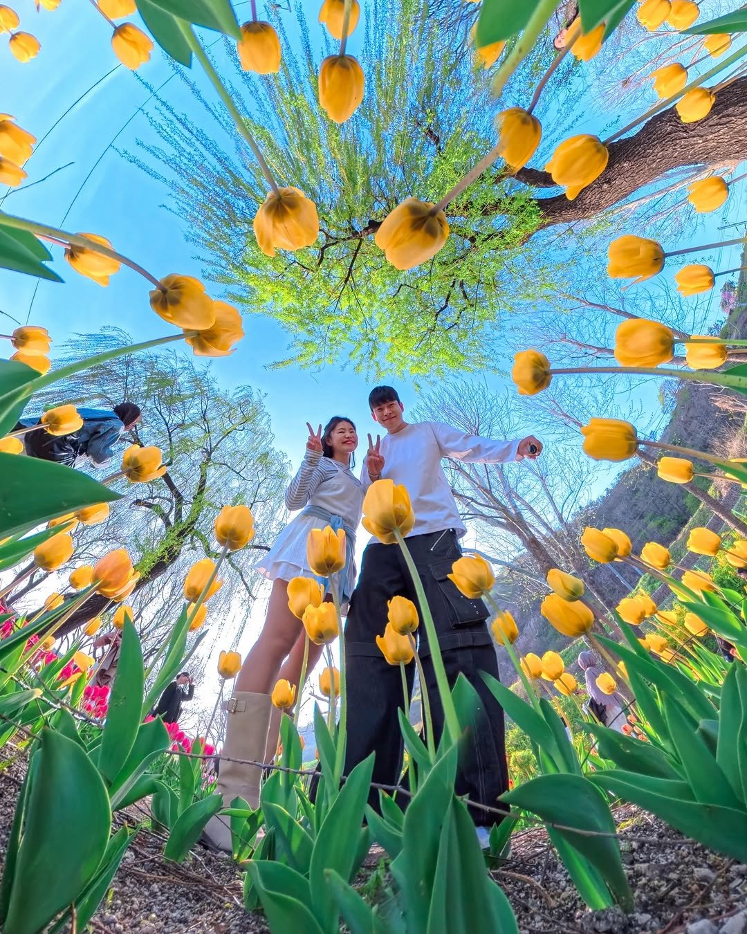 Photo by 여행 크리에이터 | 올리버여행기 on April 26, 2026. May be an image of people kissing, flower and text.