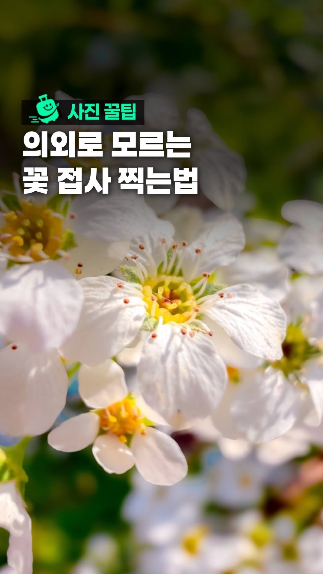 oliver_travel_ 게시물 이미지: (장소본문) 가능한 기종은 본문에 적어놨어요! 의외로 모르는데 쉬운 접사샷!

-...