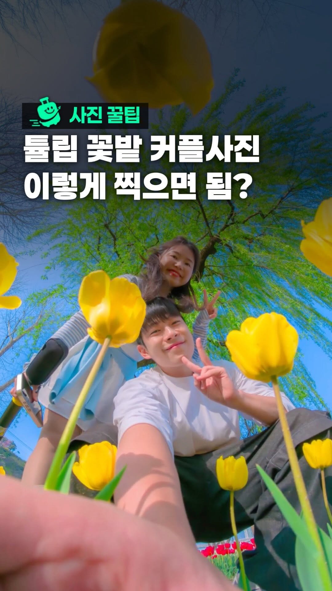 oliver_travel_ 게시물 이미지: (장소본문) 튤립밭 커플사진, 아래에서 위로 찍어보세요 🌷

튤립 사이에 핸드폰을...