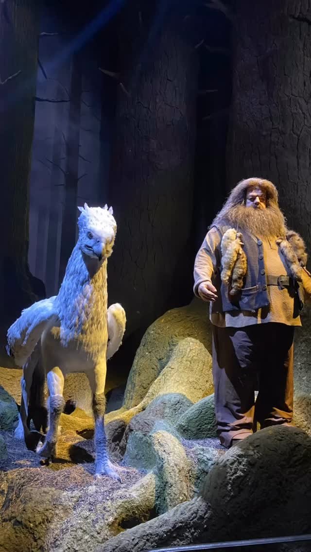 oliveyoung_list 게시물 이미지: 다시가고파ㅠ🥺

#해리포터 #데일리 #도쿄 #헤리포터스튜디오  #추천