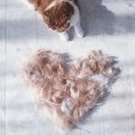 k_______________sj 프로필 사진