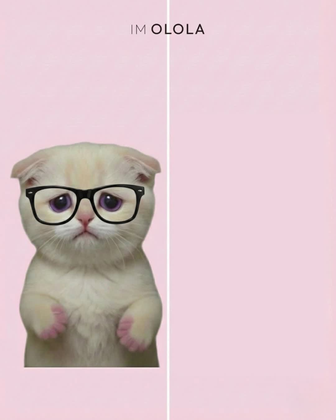 ololalens_kr 게시물 이미지: 새학기 프로모션! 렌즈 SALE!

IMOLOLA 9종, 미유 먼슬리 6종...