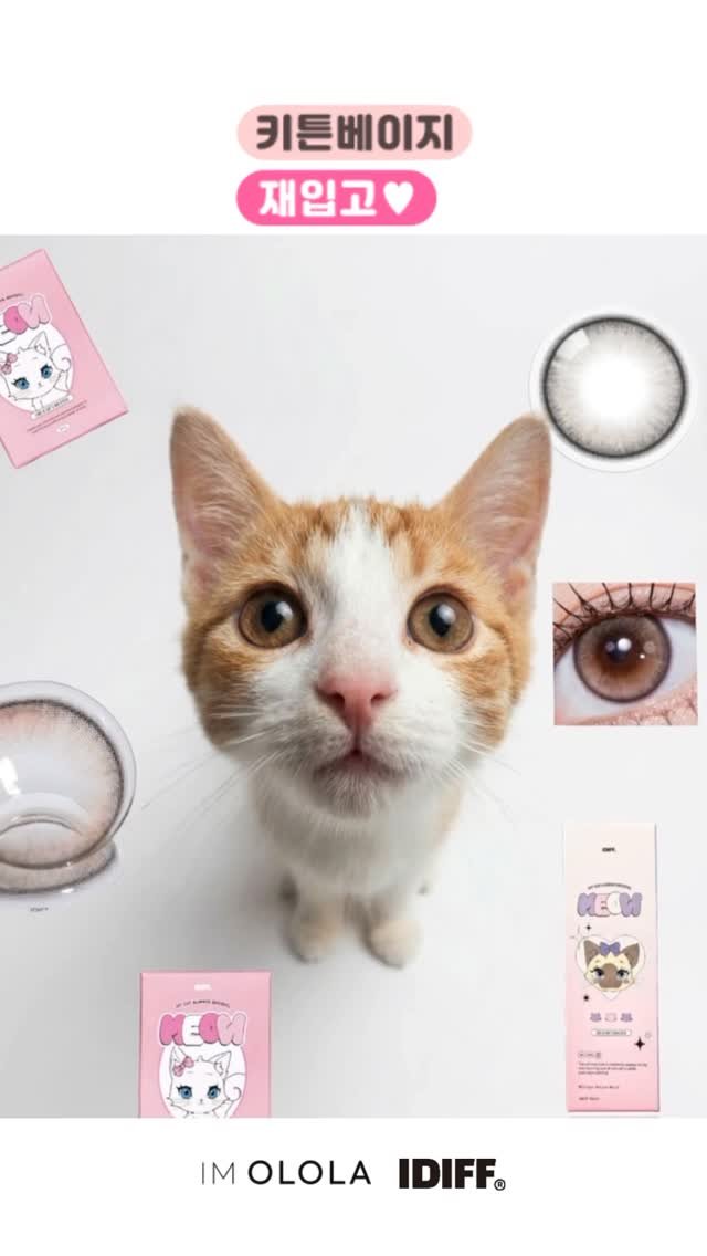 ololalens_kr 게시물 이미지: 390만뷰 찍은
그 고양이 눈 렌즈

🐱 키튼베이지 재입고

진짜 고양이처럼
동공이...