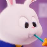 seul_ldl 프로필 사진