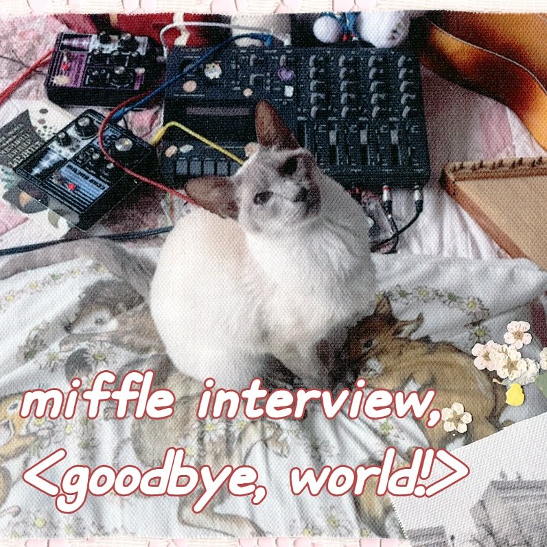 Photo shared by 오미카이브 (omichive) on October 03, 2025 tagging @miffle.wav. May be an image of ragdoll cat and text that says 'miffle interview, <goodbye, world!>'.