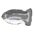 omichive7 인스타그램 프로필 사진