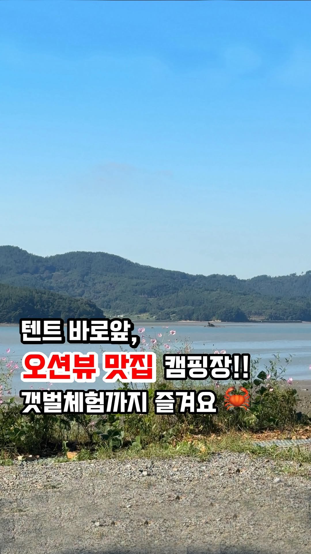 omomocam 게시물 이미지: 🌊 바다 바로앞! 갯벌 속 보물찾기 START !! 

…

✅ 캠핑장 정보,...
