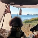 mongs_camper 프로필 사진