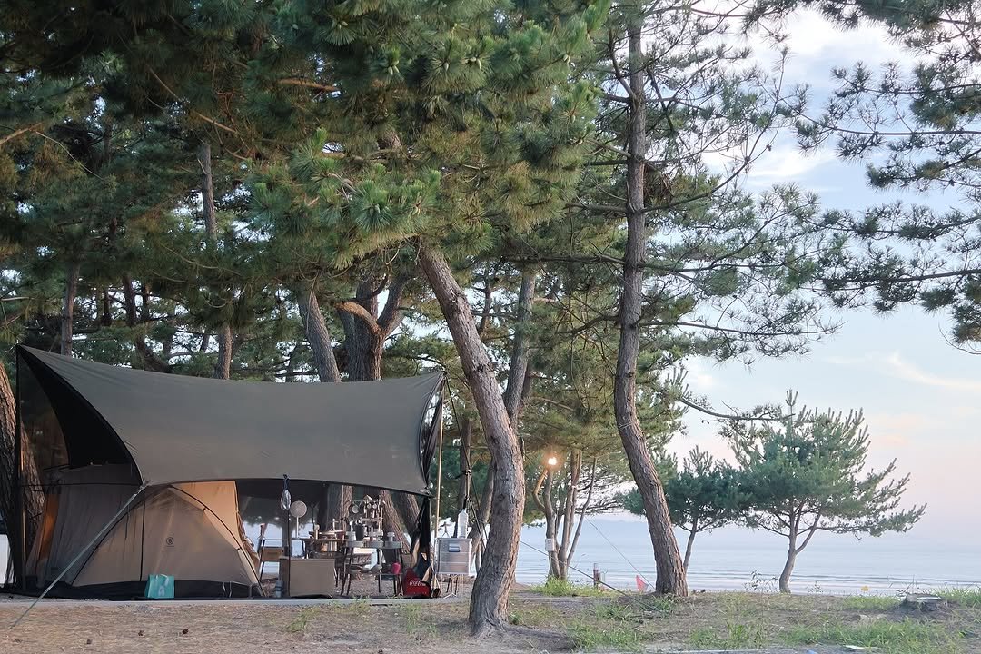 Photo by 오모모캠| 캠핑 | 캠핑장추천 | 드론 | 정보요정🧚♀️ on August 21, 2025. May be an image of campsite, hammock, outdoors and text.