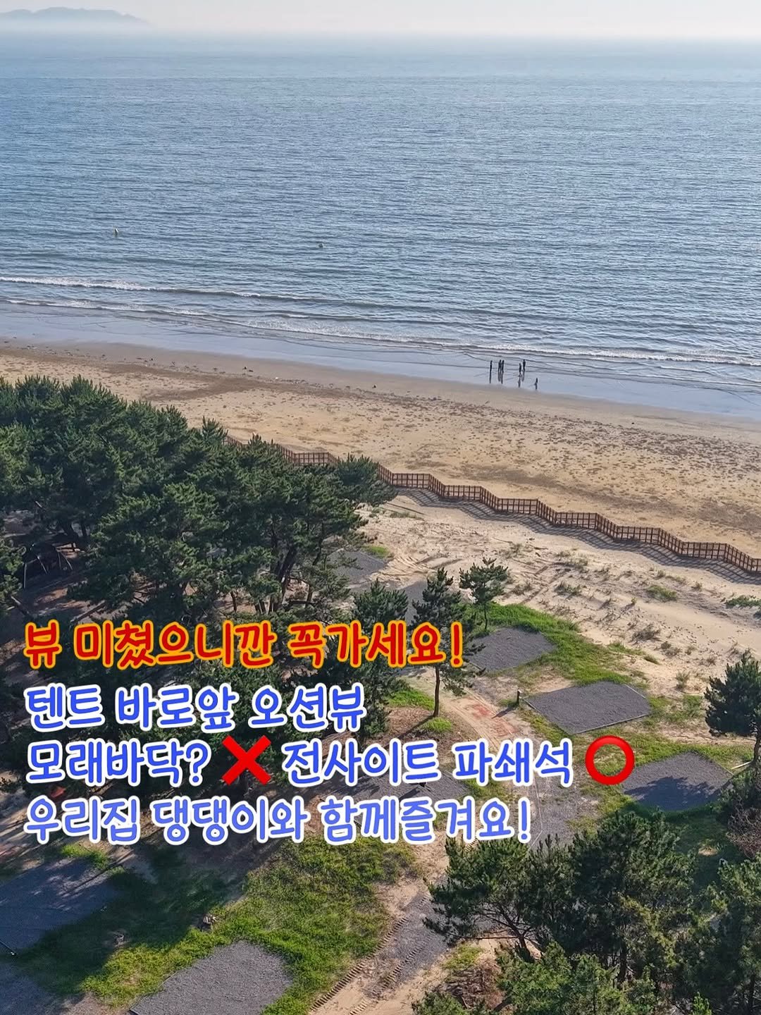 Photo by 오모모캠| 캠핑 | 캠핑장추천 | 드론 | 정보요정🧚♀️ on August 14, 2025. May be an image of text that says 'I 뷰 뷰미쳤으니깐곡가세요! 미쳤으니깐 꼭가세요! 텐트 바로앞 오션뷰 모래바닥? X 전사이트 파쇄석 우리집 댕댕이와 함께즐겨요!'.