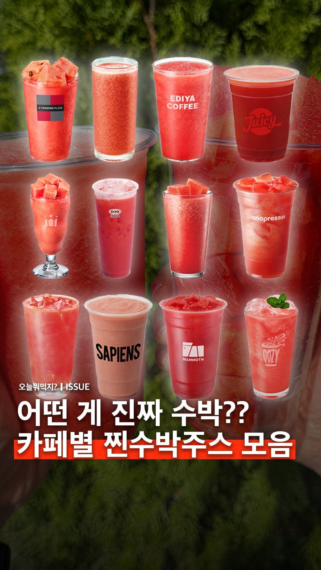 omuk.official 게시물 이미지: 🍉<<진짜>> 수박주스 찾는 사람들 주목!
수박주스 시즌이 돌아오면서 카페마다 수박...