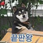 the_lastwang 프로필 사진