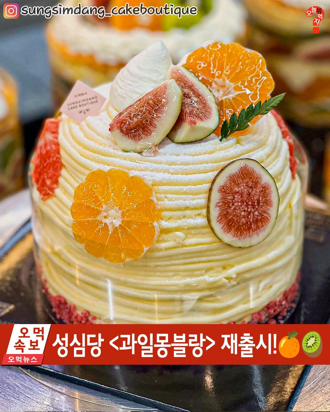 Photo by 오늘뭐먹지? on October 13, 2025. May be an image of fig, chiffon cake, pie, fruitcake and text that says 'sungsimdang_cakeboutique 지 税通3 축년 속보 오먹 성심당 <과일몽블랑> 재출시 오먹뉴스'.