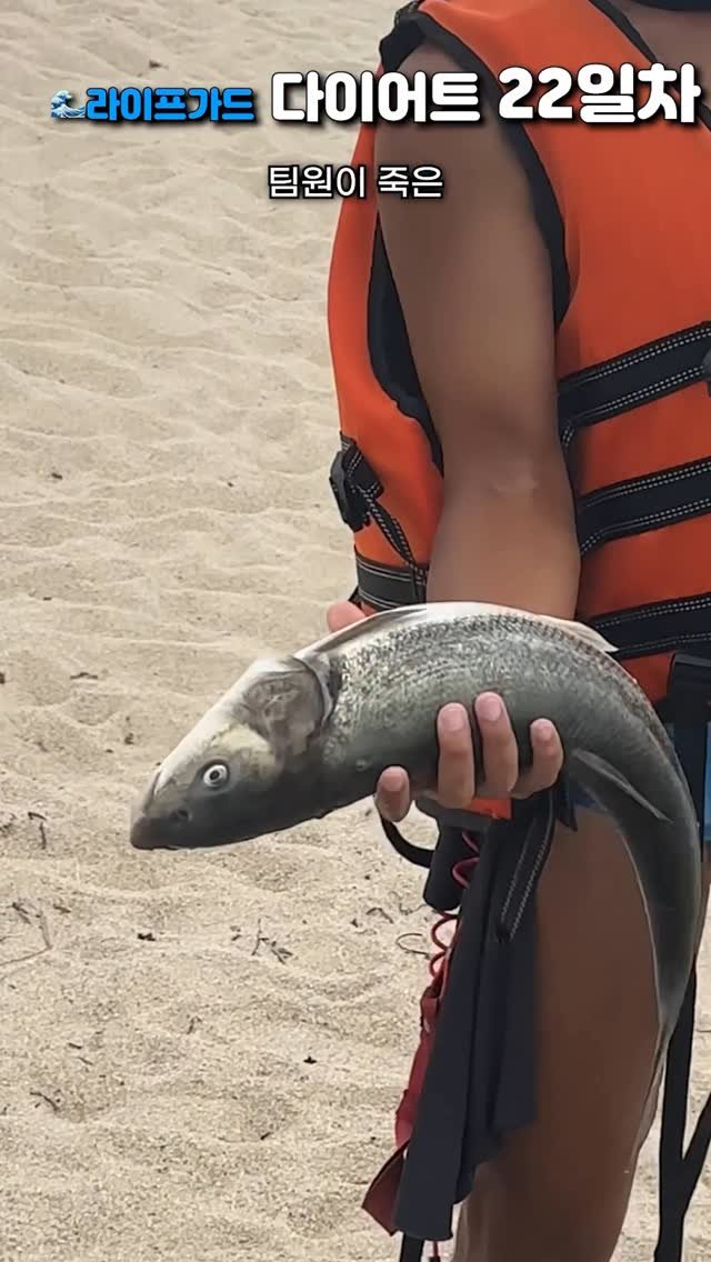 onba_ek 게시물 이미지: 라이프가드 다이어트 22일차