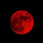 dark_storry77 프로필 사진