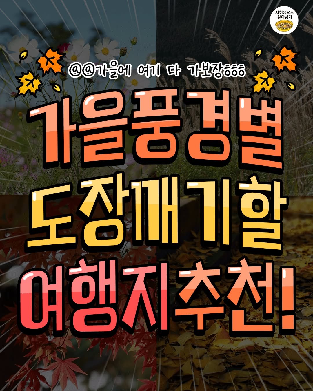 Photo by 자취생으로 살아남기 on September 25, 2025. May be an image of text that says '자취생으로 실이님기 실이남기 @@가을에 여기 다 가보장ㅎㅎ 가을품경별 도장매기능 기할 여행지추천!'.
