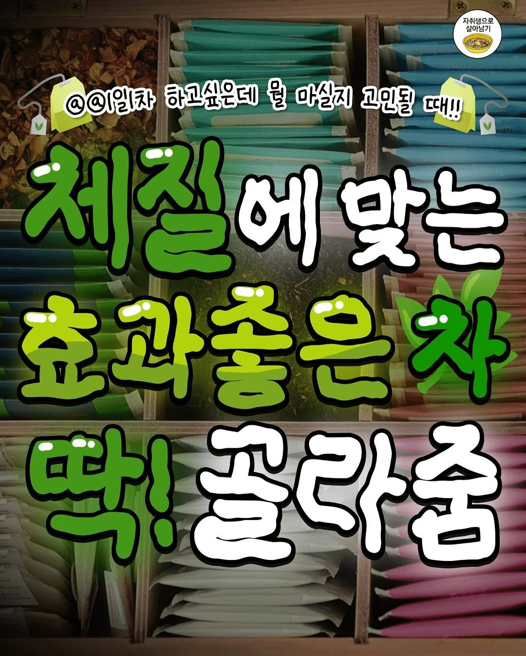 Photo by 자취생으로 살아남기 on September 28, 2025. May be an image of text that says '자취생으로 실이남기 @@일차 하고싶은데 뭘 마실지 고민될 때!! 체절에및 맞는 효과좋은차 차 딱!골라 골라줌'.