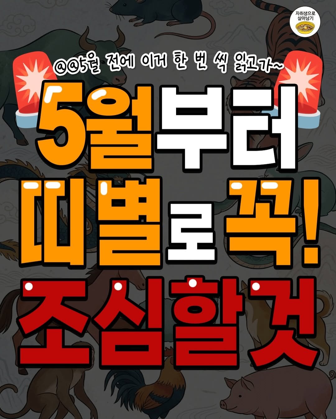 Photo by 자취생으로 살아남기 on April 26, 2026. May be an image of text that says '자취생으로 실이남기 @@5号 전에 이거 @@5원전에이커한번색일고가~ 한 한번 昭 읽고가~ 5월부터 띠별로꼭! 조심할것'.