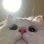 happyhumor013 프로필 사진